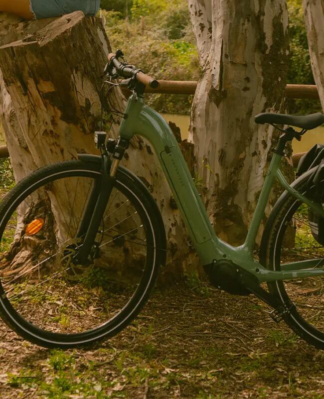Grünes E-Bike mit tiefem Einstieg lehnt an Baum