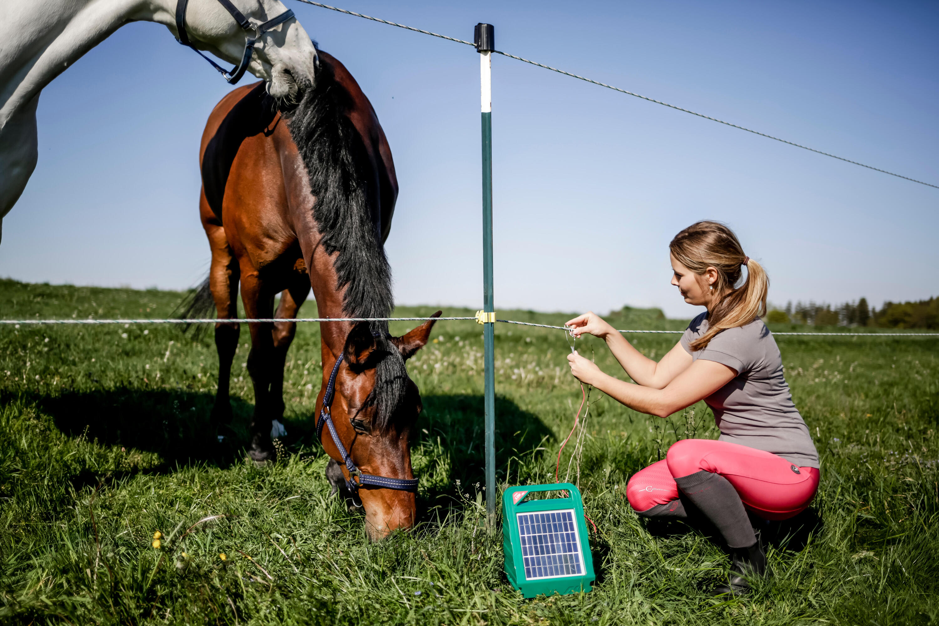 Electrificateur de clôture solaire pour cheval -  ako sunpower s250 5/5