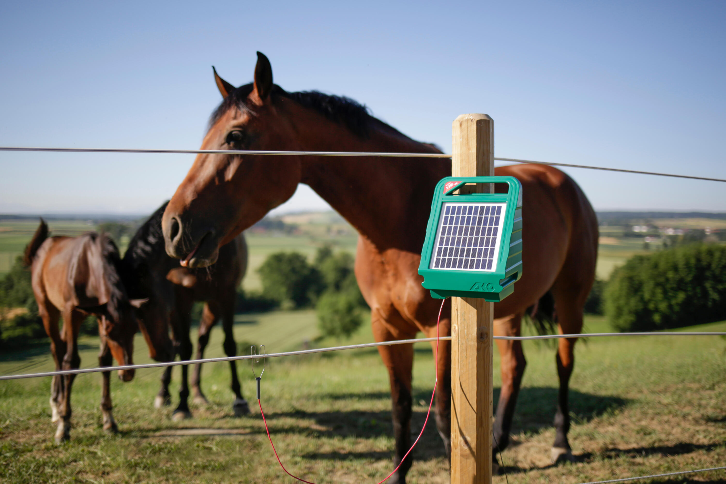 Electrificateur de clôture solaire pour cheval -  ako sunpower s250 4/5