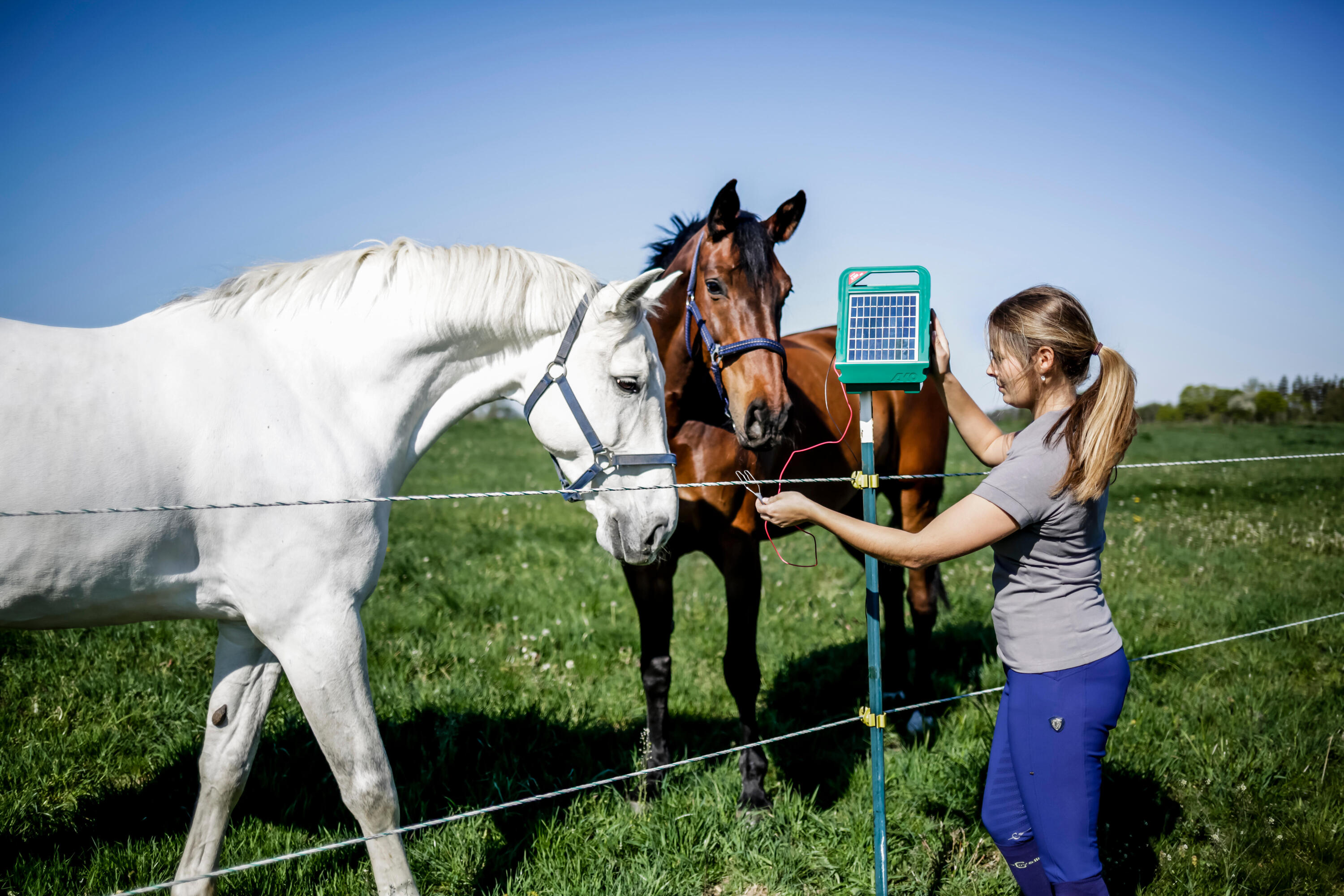 Electrificateur de clôture solaire pour cheval -  ako sunpower s250 3/5