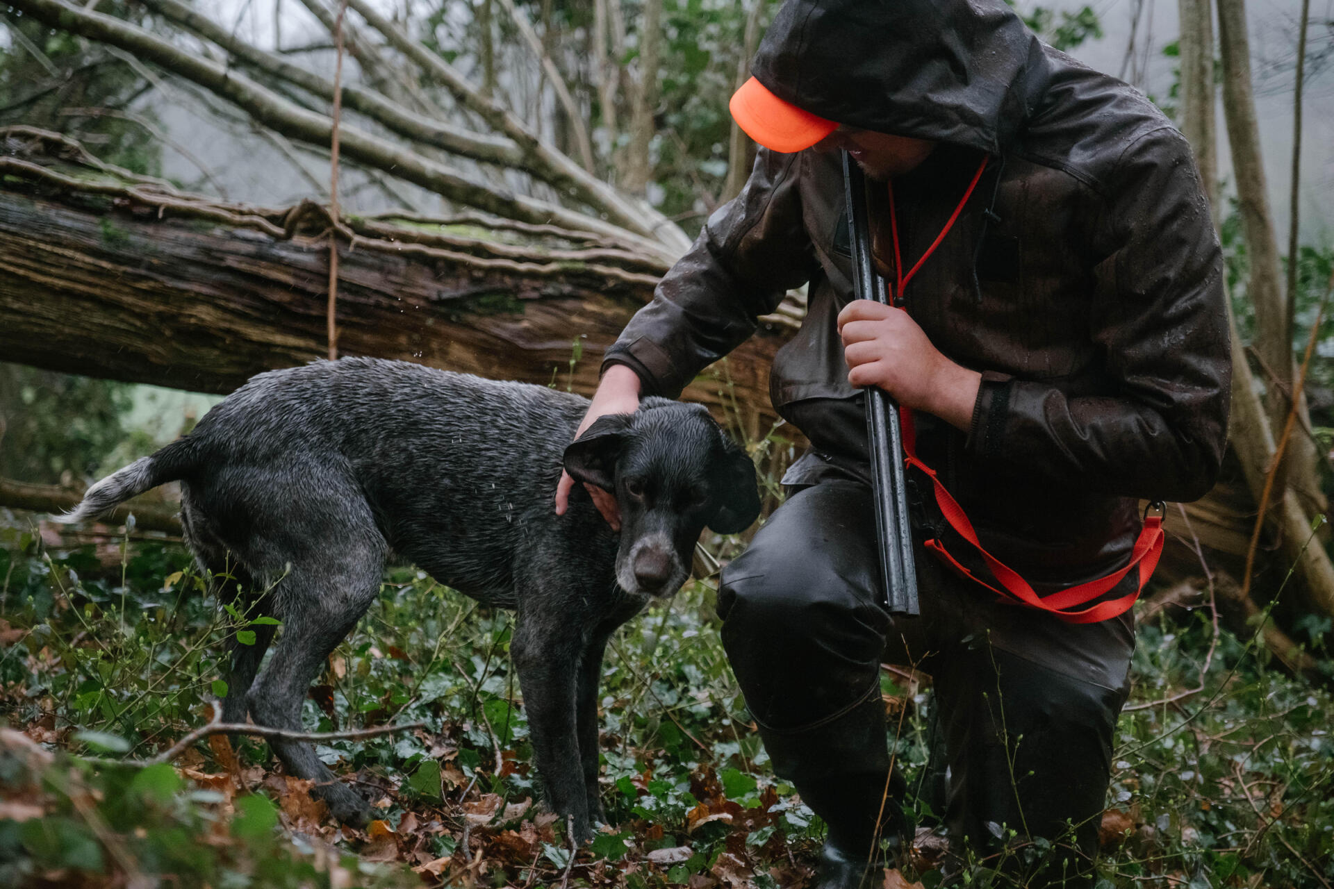 Bécasse sous la pluie avec un chasseur