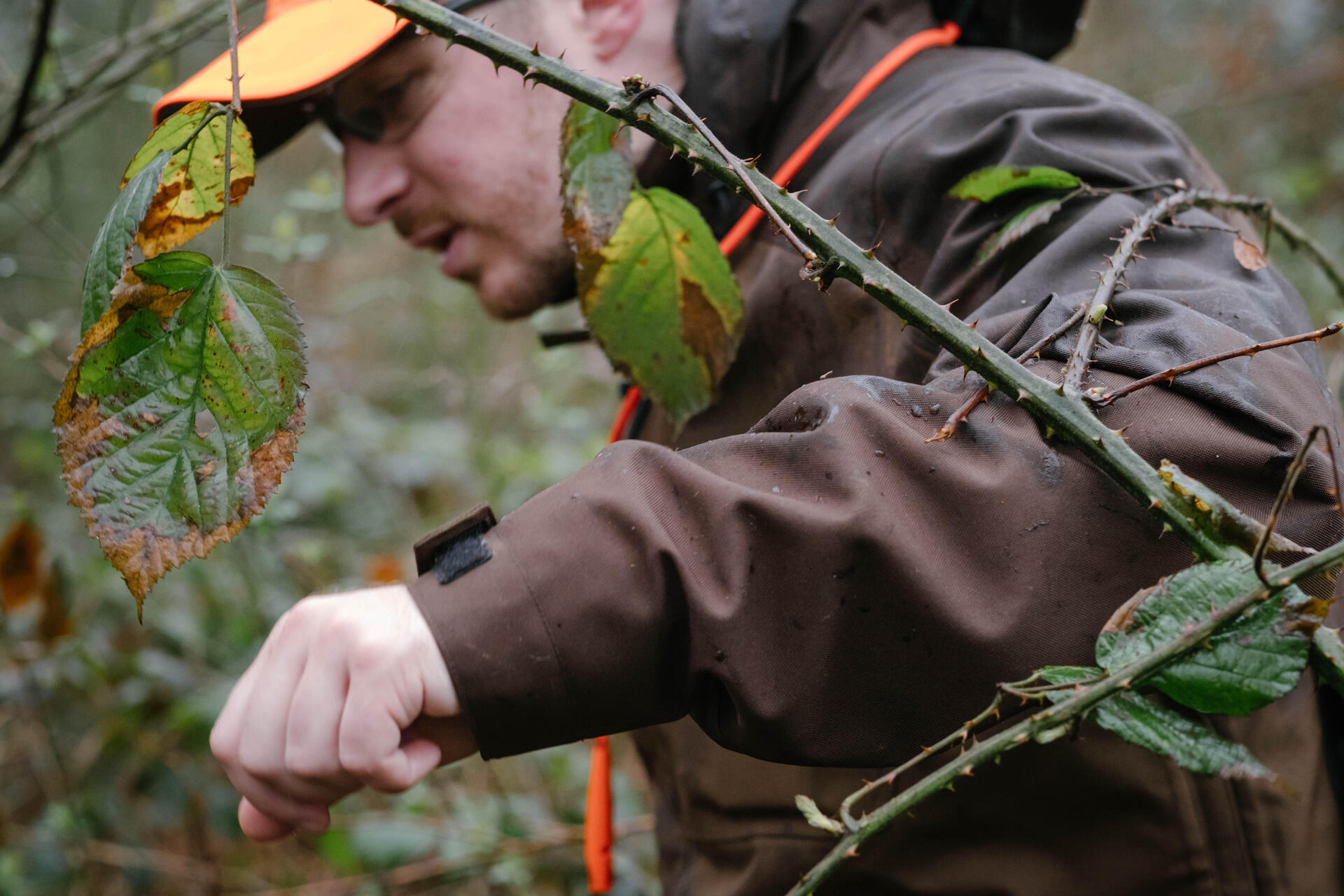 L AMENAGEMENT DU TERRITOIRE UNE ACTION ESSENTIELLE POUR LE PETIT GIBIER