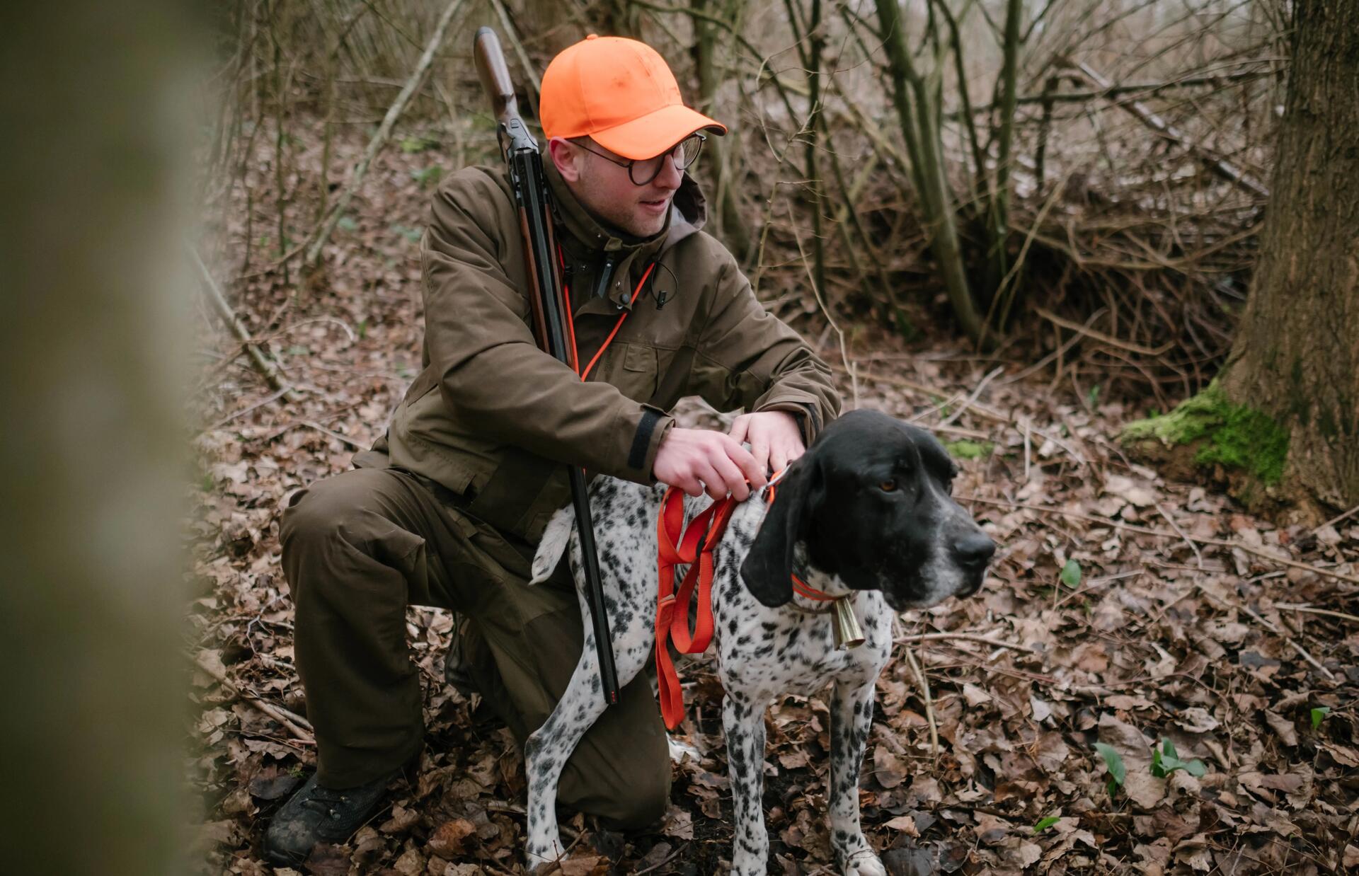 Un bécassier et son chien en sous bois