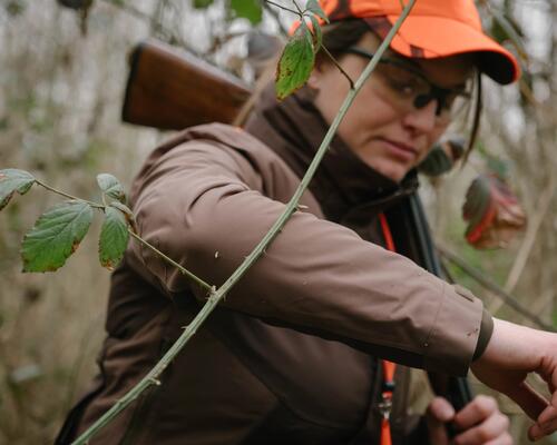 L'ouverture de la chasse du petit gibier approche : nos conseils pour bien la débuter