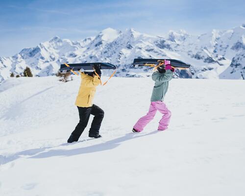 How to choose a sled