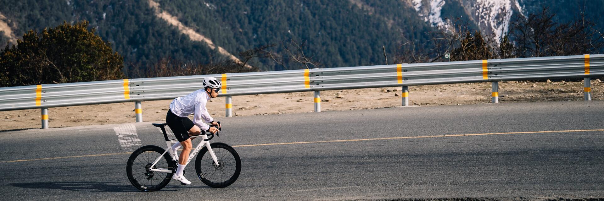 world bicycle day
