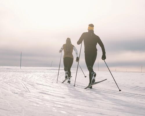 SKATING-LANGLAUFSKI PFLEGEN