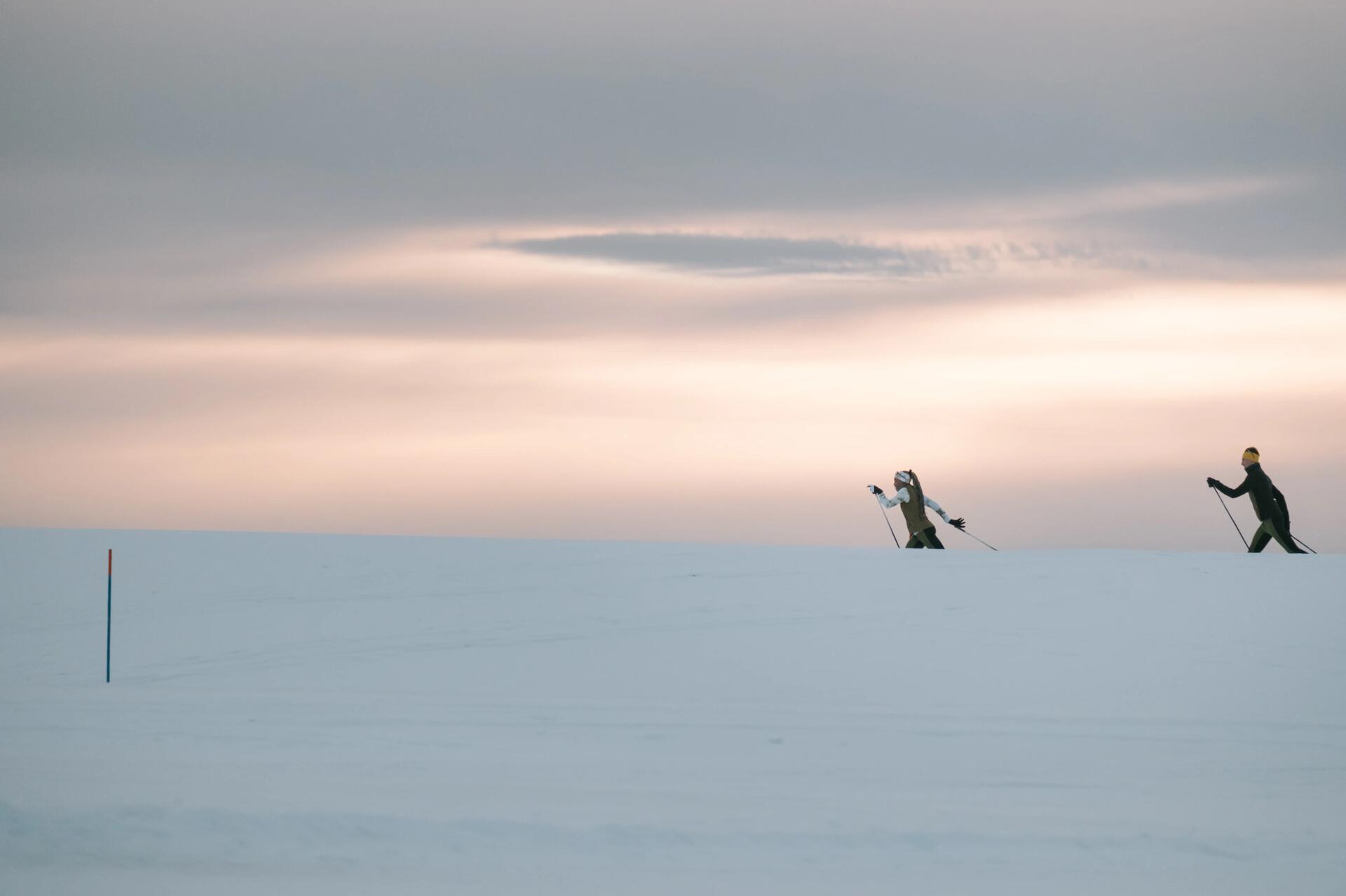 Two people cross-country skiing
