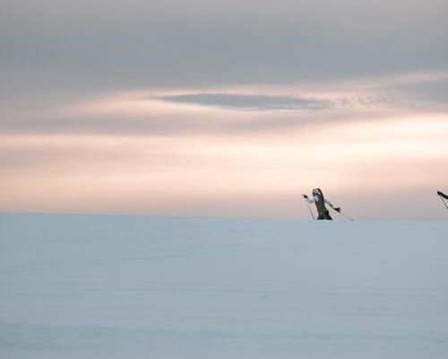 Two people cross-country skiing