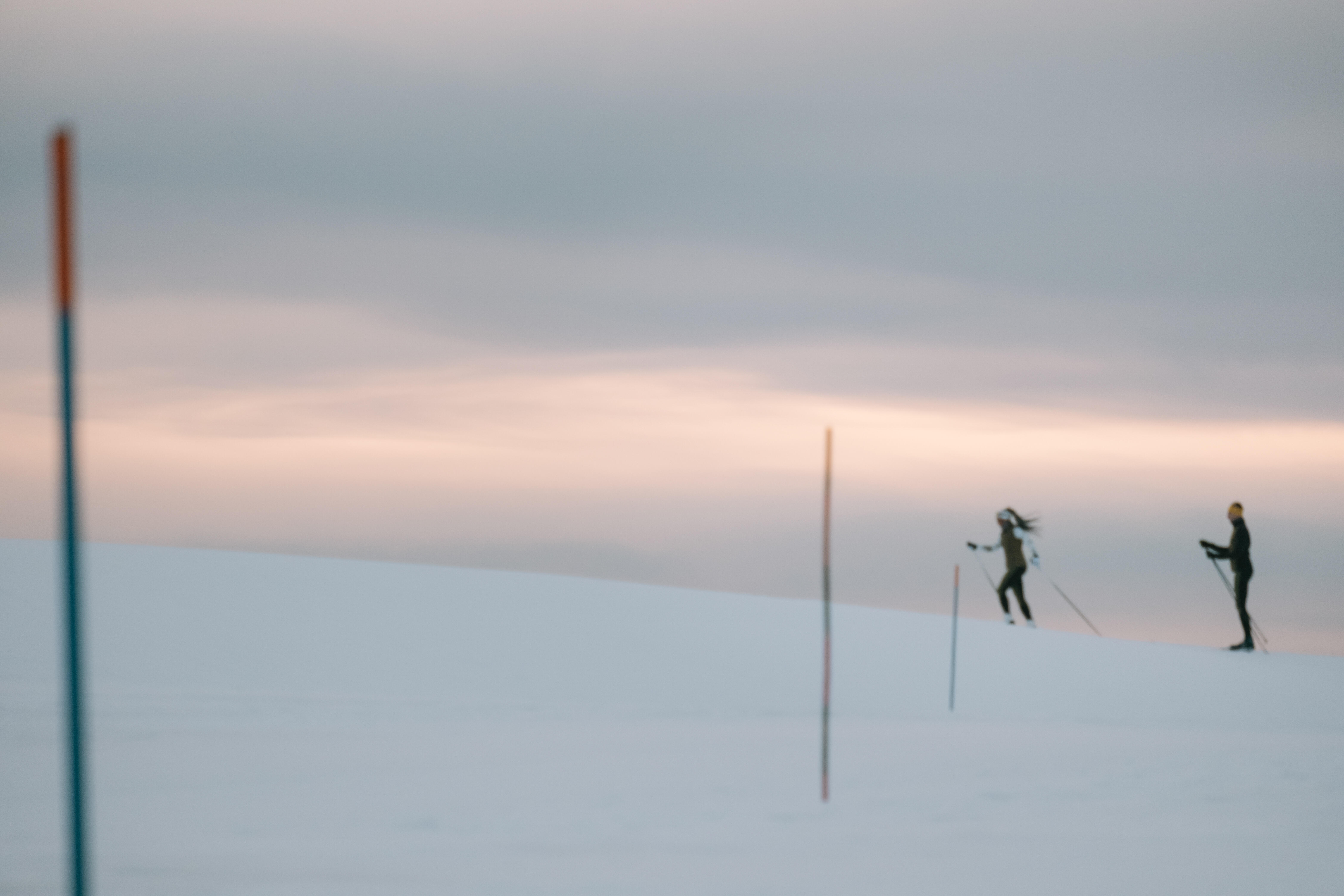 Classic Cross-Country Ski with Skins + Rottefella Perf bindings, XC S 500 SKIN - INOVIK