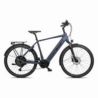RIVERSIDE - E-Bike City Trekking 28 Zoll ETR 900 Herren Bosch Performance Line