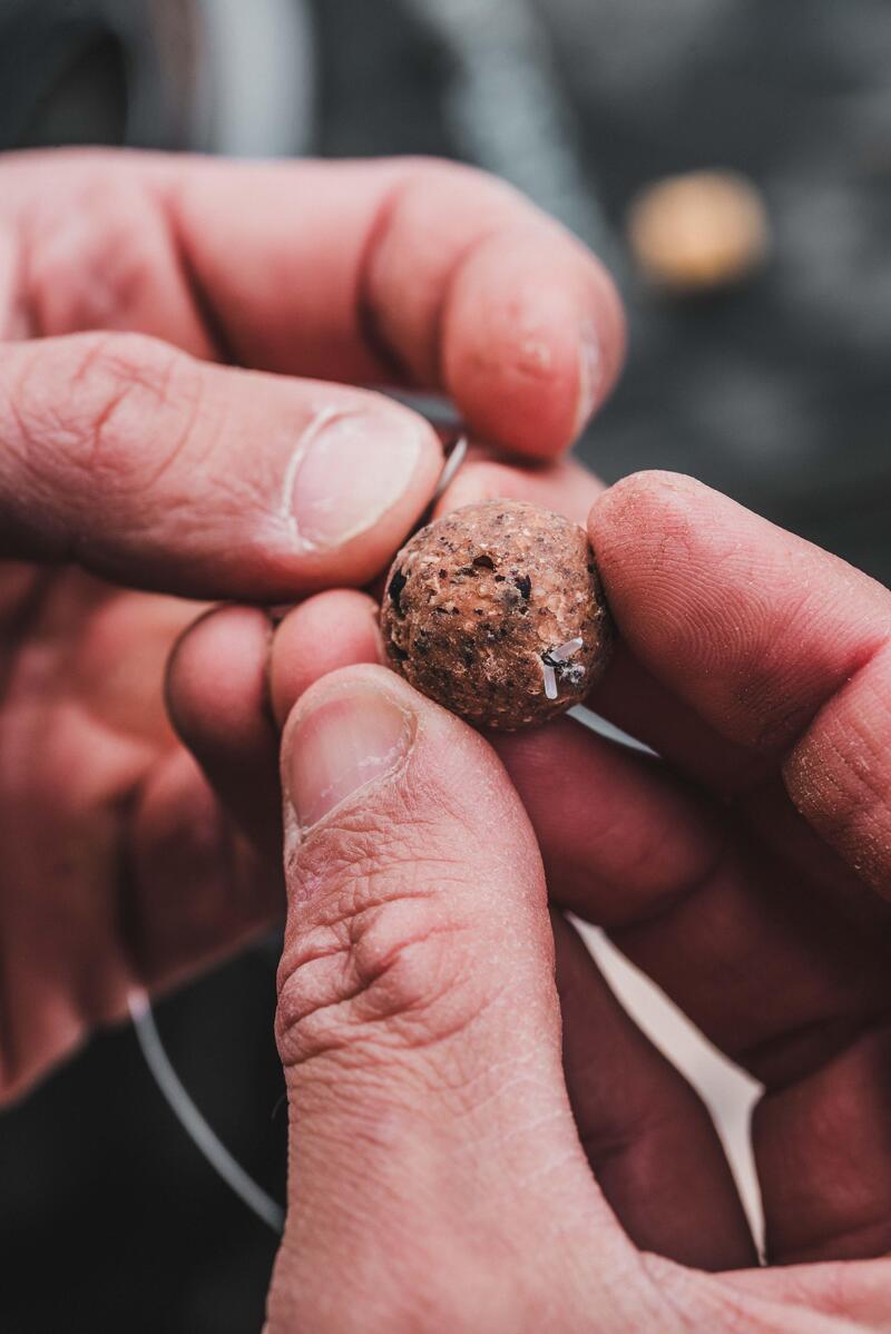 Comment bien choisir son appât carpe ?