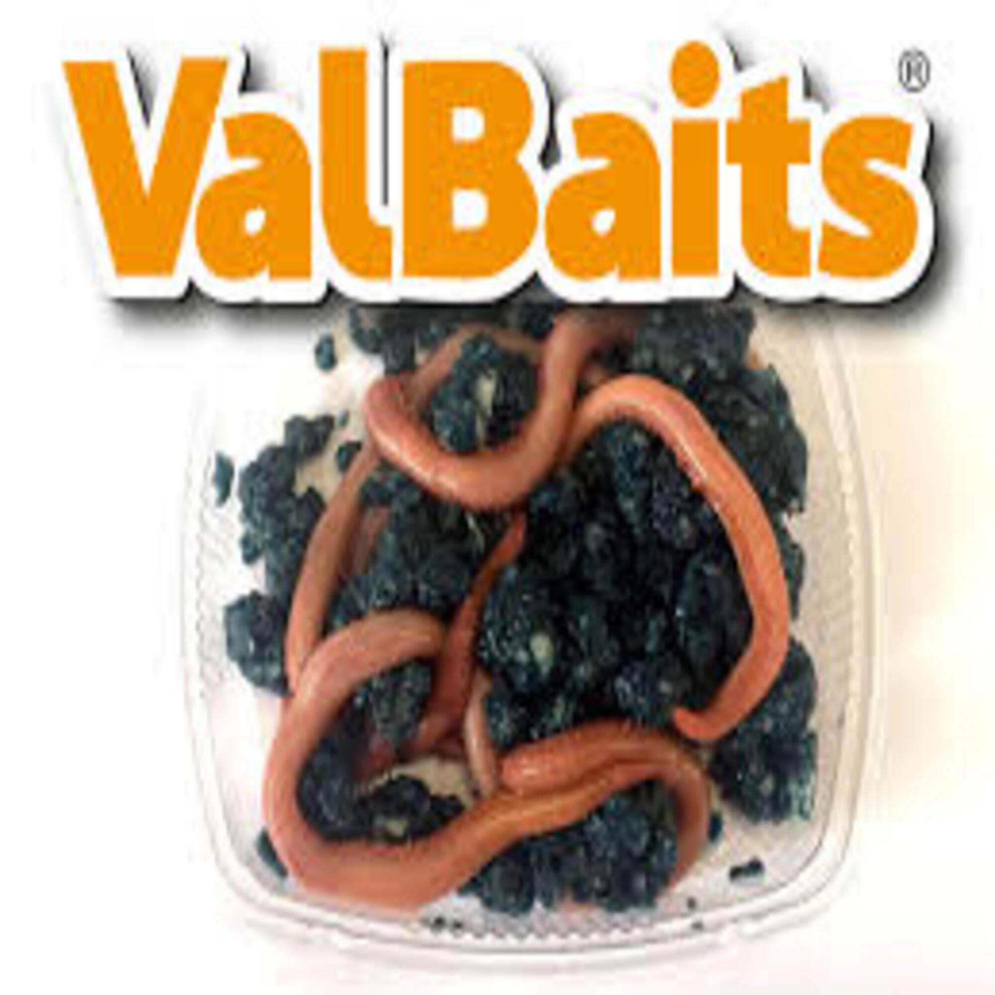 AMERICANO 5 Uds Valbaits 2/3