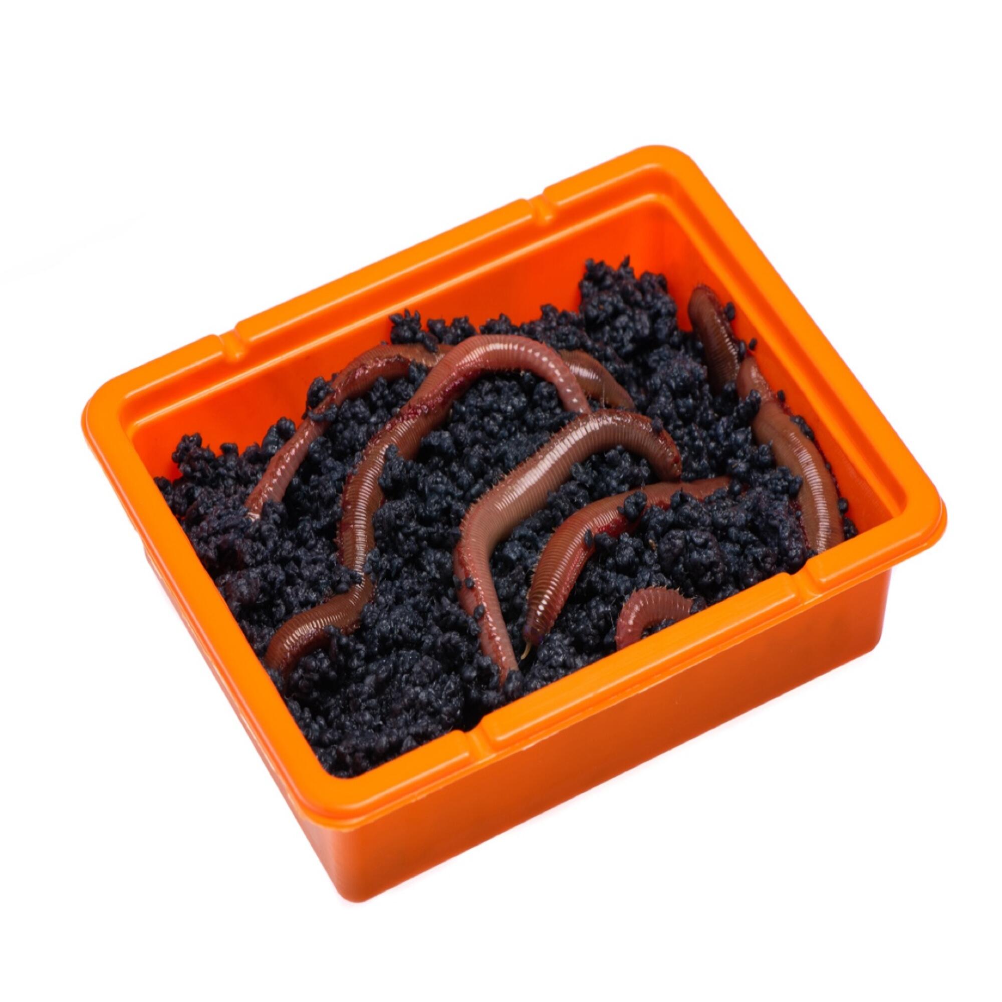 ROSCA SUPER EXTRA MI CEBO 5-11 UDS 2/3