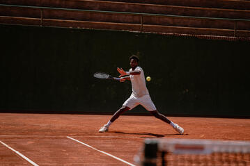 Tenis