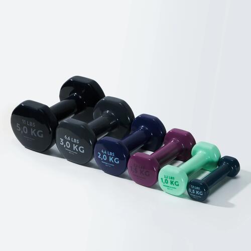 DAMBIL - 2 X 0,5 KG - FİTNESS HAFİF ANTRENMAN / PİLATES