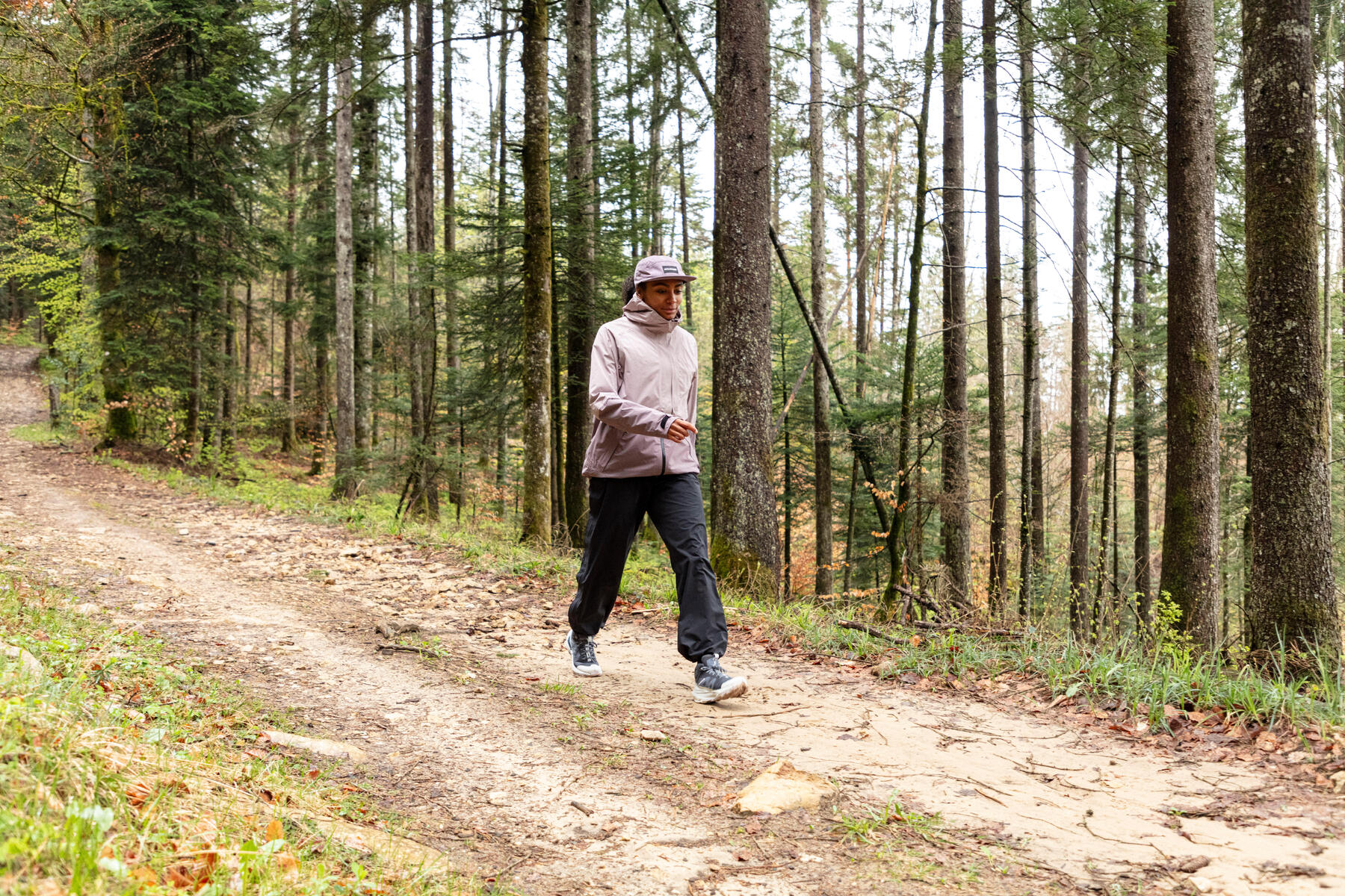 Wandern im Pfälzerwald