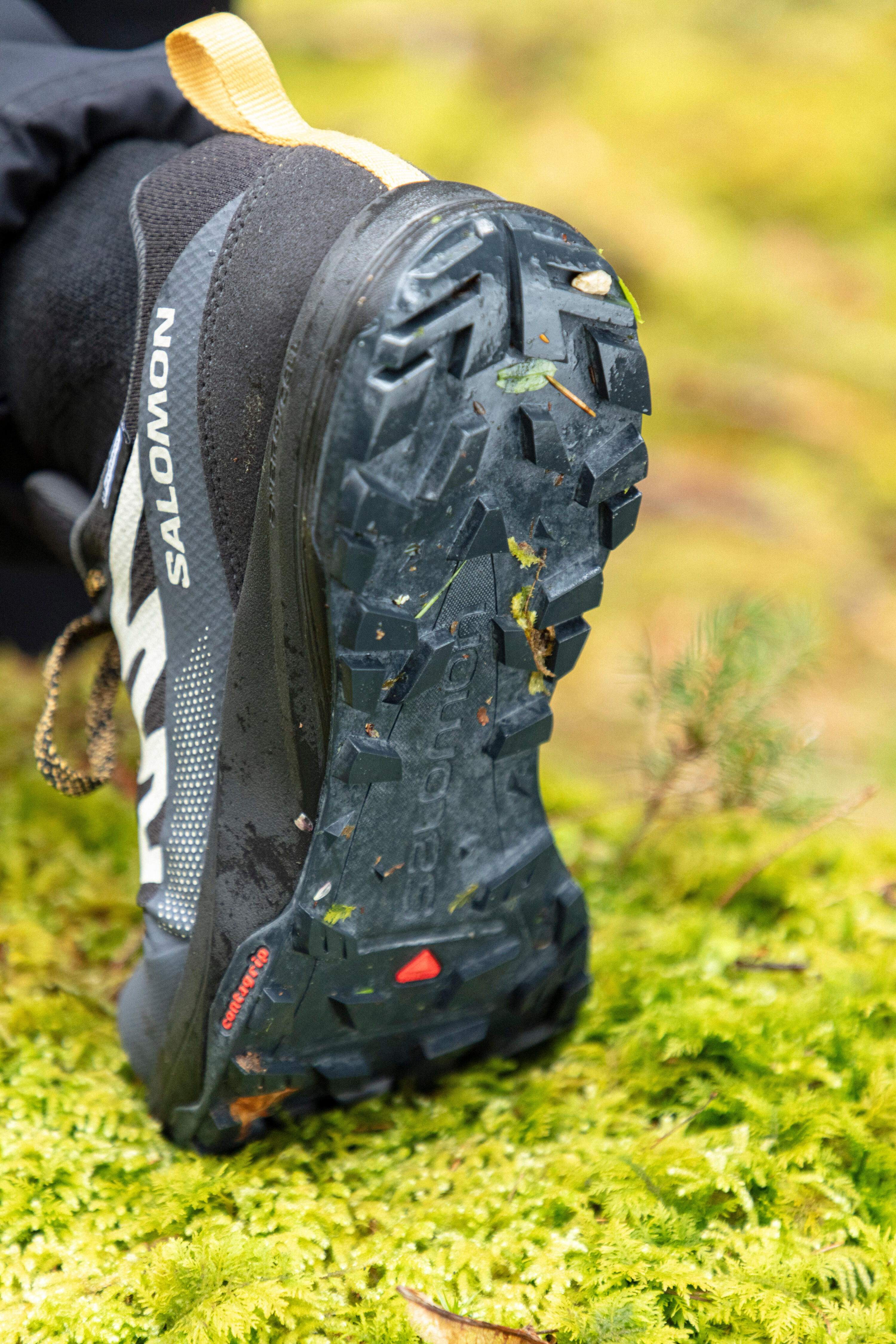 Chaussures imperméables de randonnée montagne - SALOMON SALIBA Homme 12/13