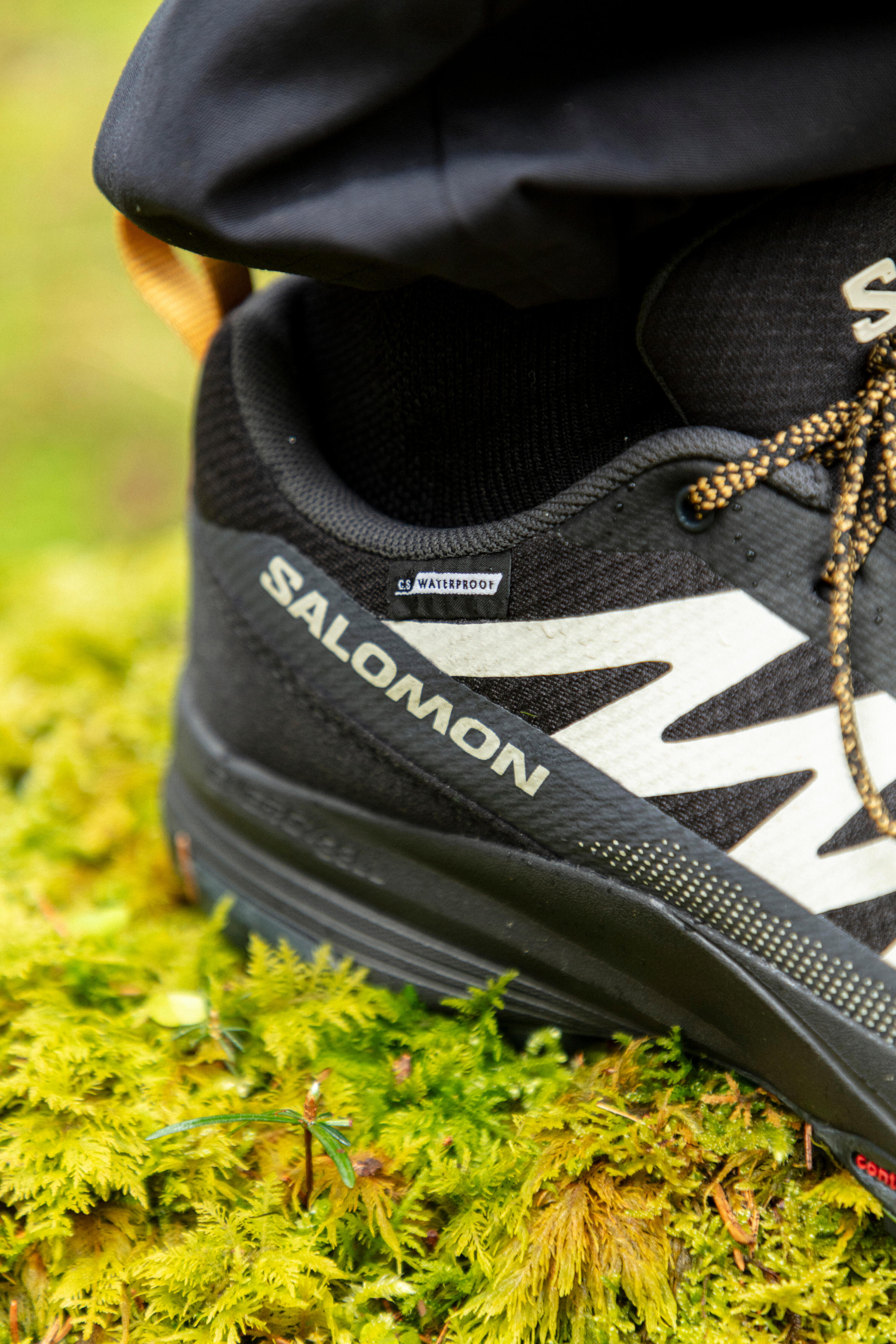 Chaussures imperméables de randonnée montagne - SALOMON SALIBA Homme 10/13