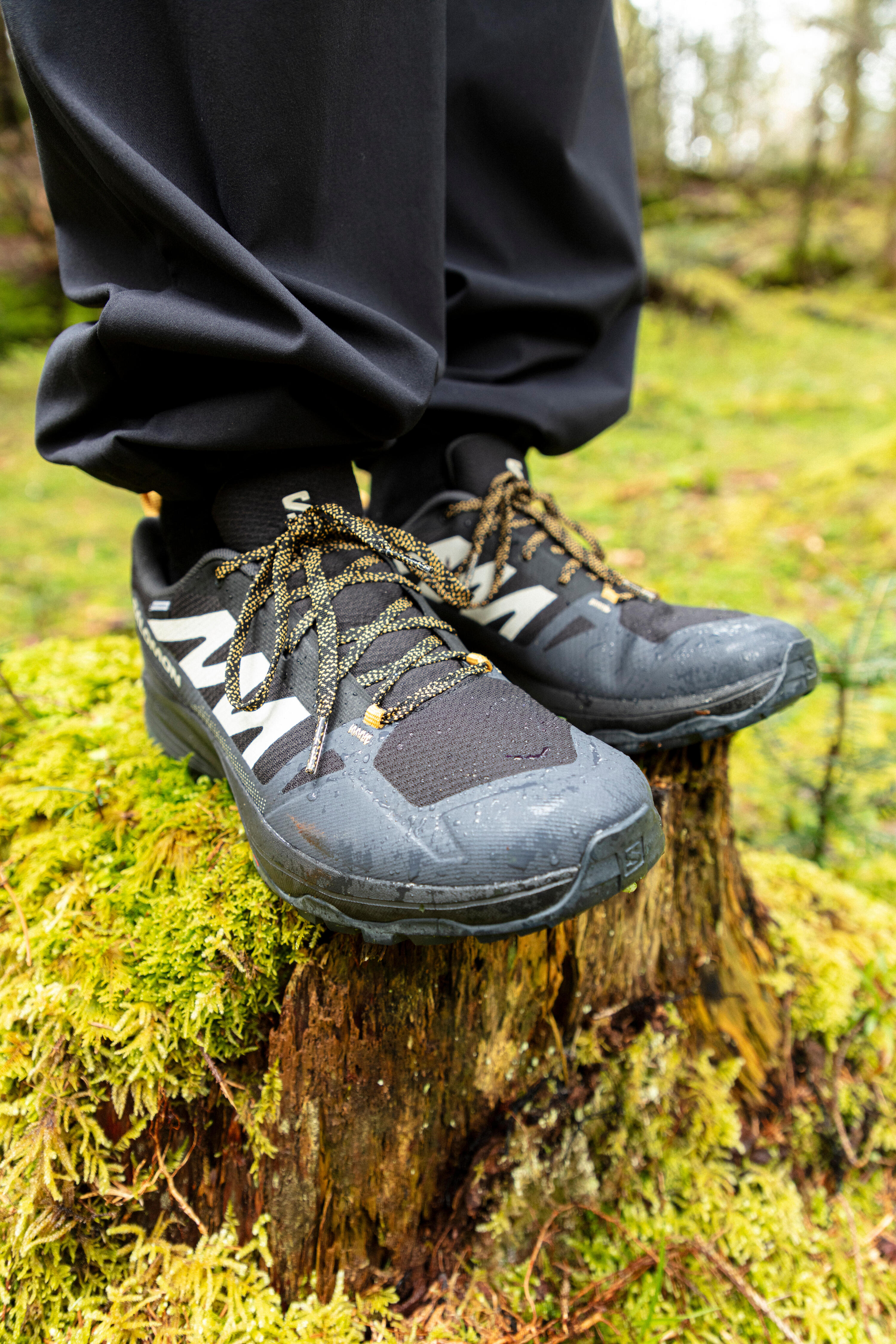 Chaussures imperméables de randonnée montagne - SALOMON SALIBA Homme 11/13