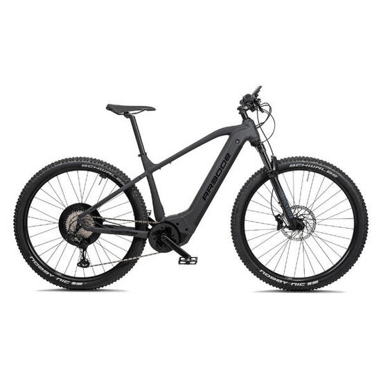 E-Mountainbike 29 Zoll RR900e Bosch Performance CX schwarz matt