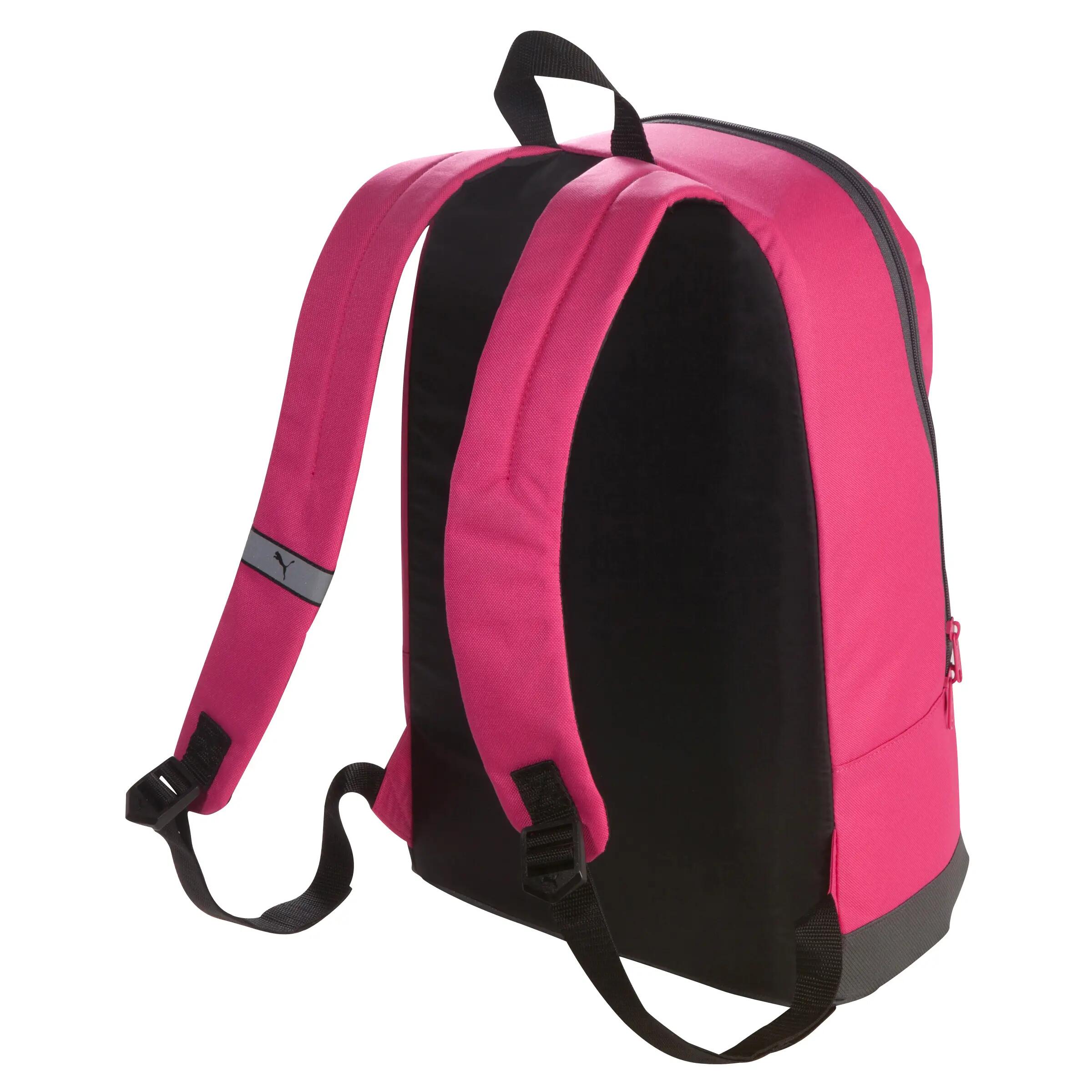 Pioneer 25l Backpack Pink 2/6