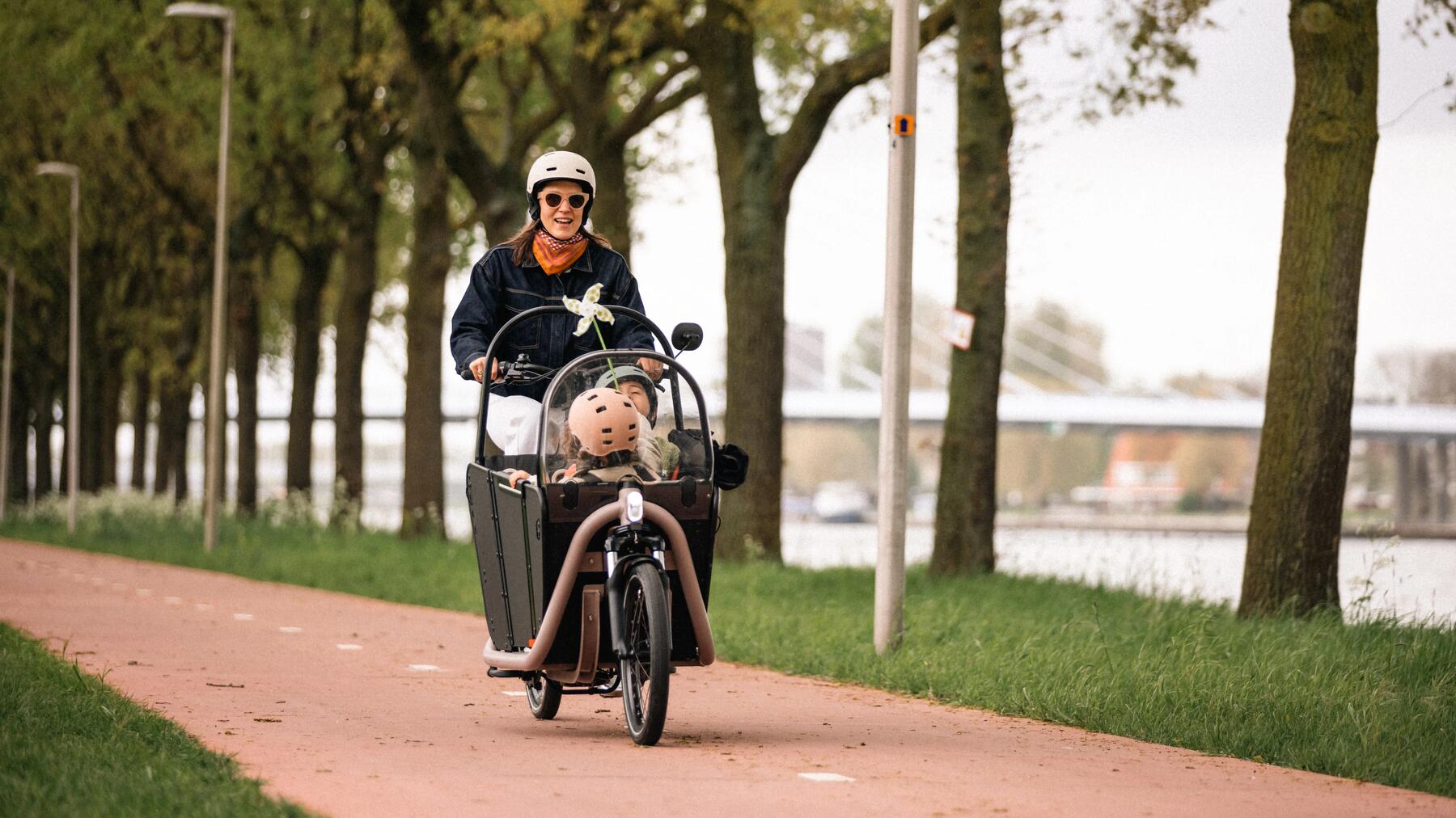 Bicicleta de carga