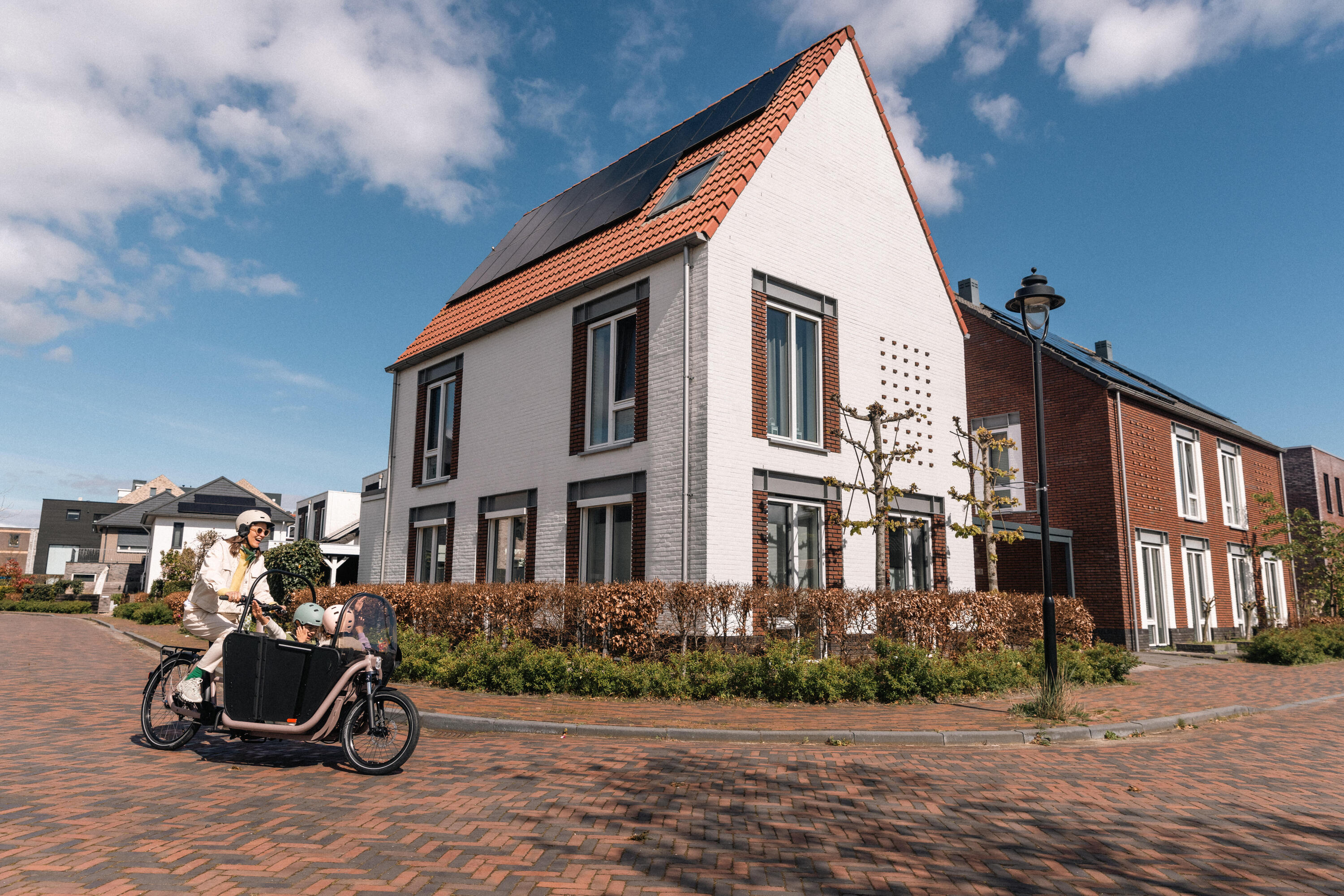 Velo cargo electrique biporteur famille f900e taupe 24/29