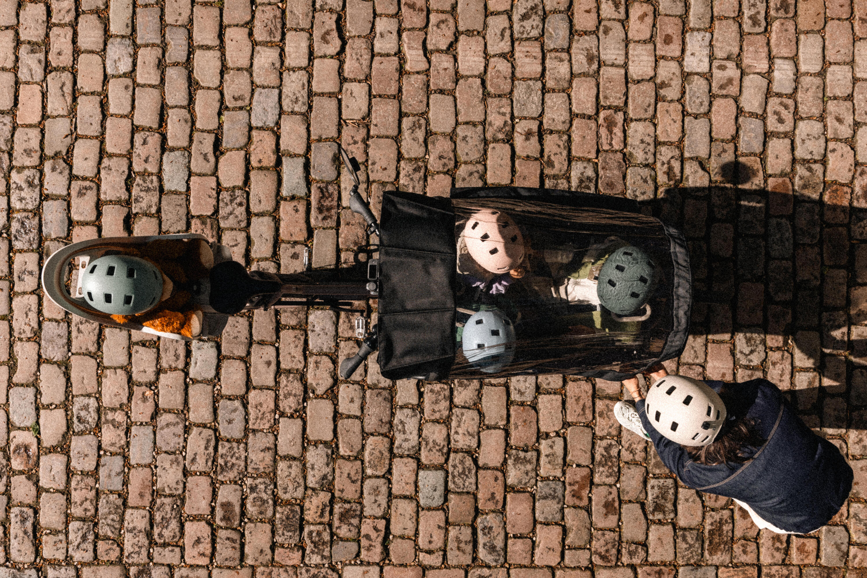 Velo cargo electrique biporteur famille f900e taupe 25/29