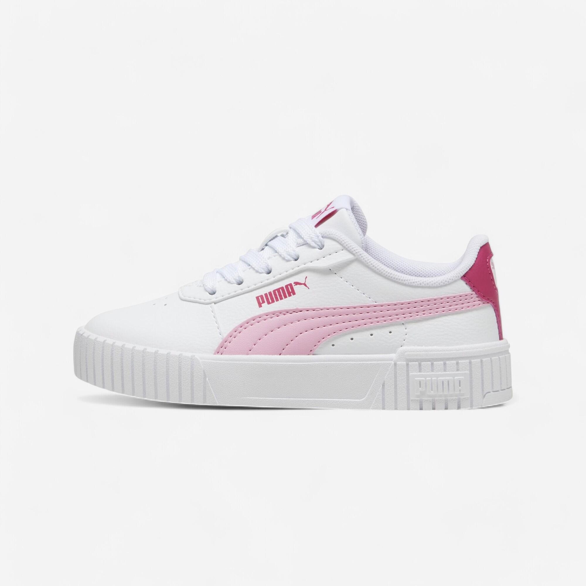 PUMA picture