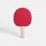 Raquette de ping pong résistante - PPR100