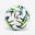 BKT Ligue 2 Official Replica Ball 2024 -2025 Size 5