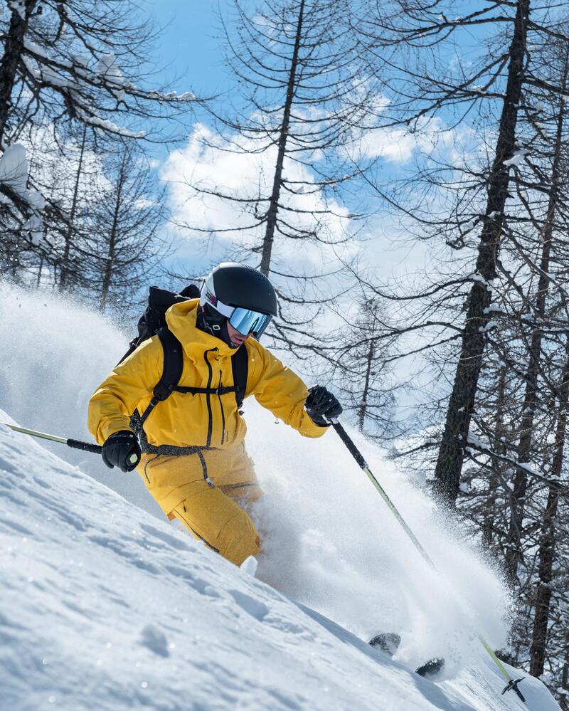 Sports Page Article Card Winter Sports