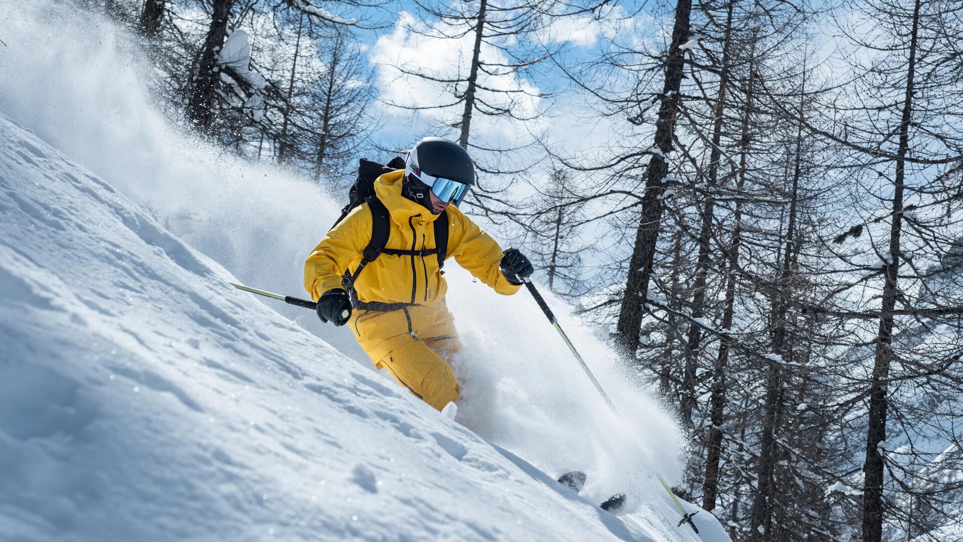 8561682 - SKIS FR 900 POW CHASER PACK