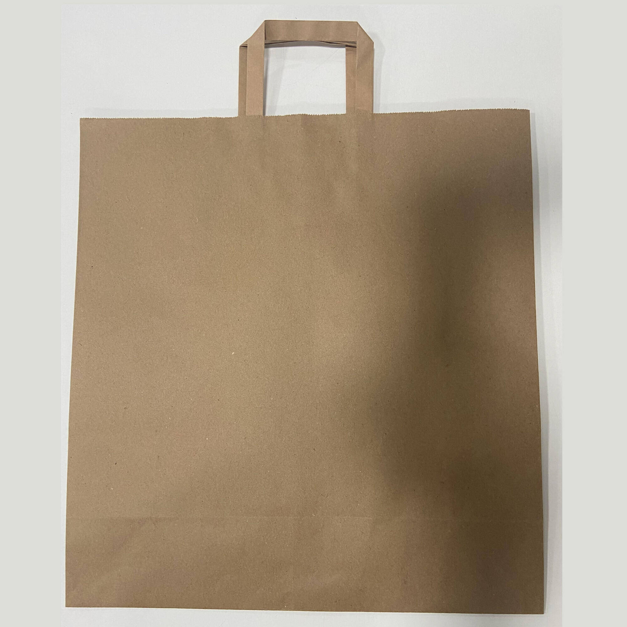 *MULTIPURPOSE PAPER LARGE BAG -  1