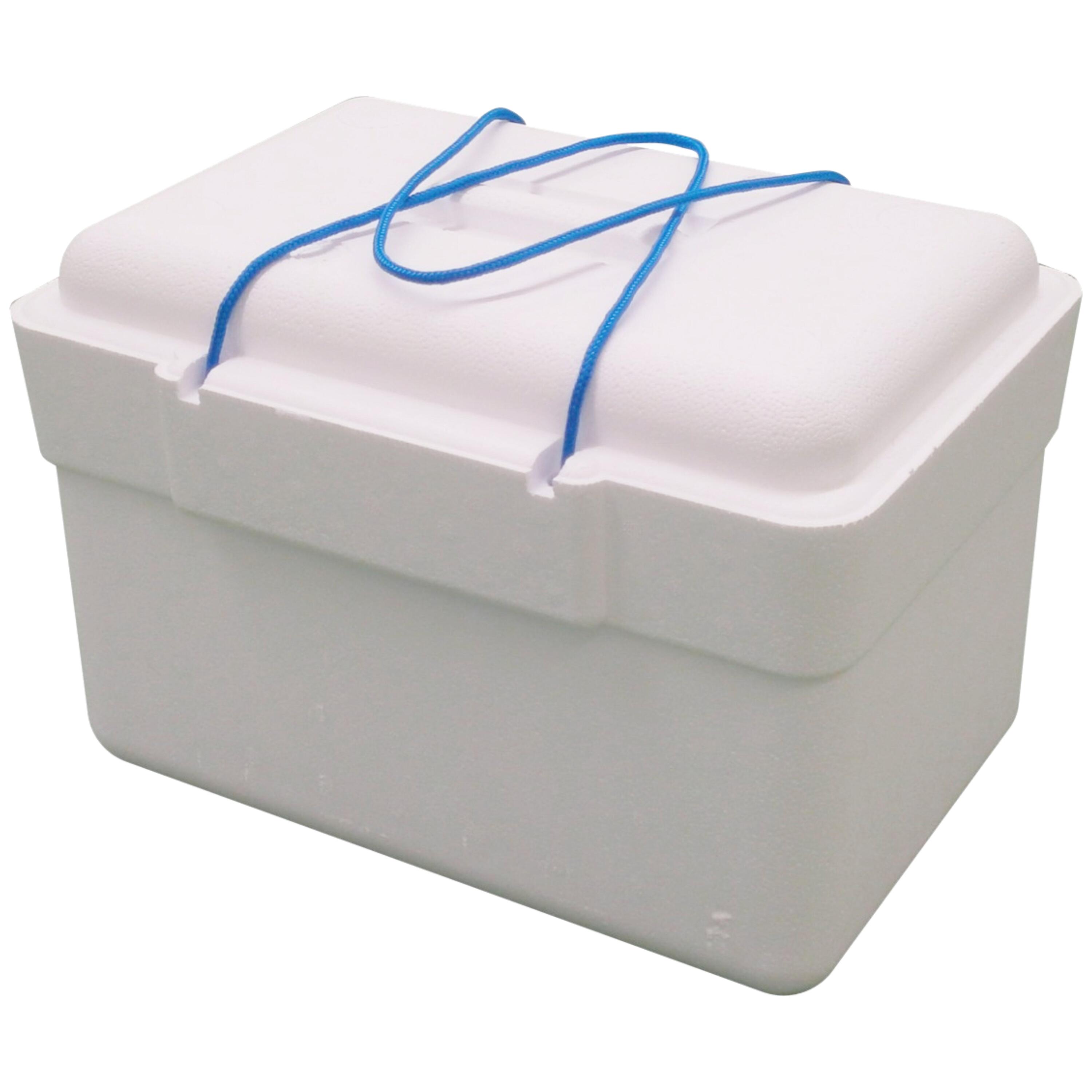 POLARBOX Geleira 13 L (asa de corda)