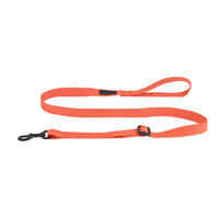 Dog leash 100 Orange