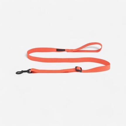 Laisse chien bleue 100