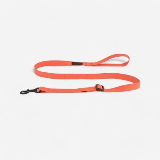 Hundeleine 100 orange