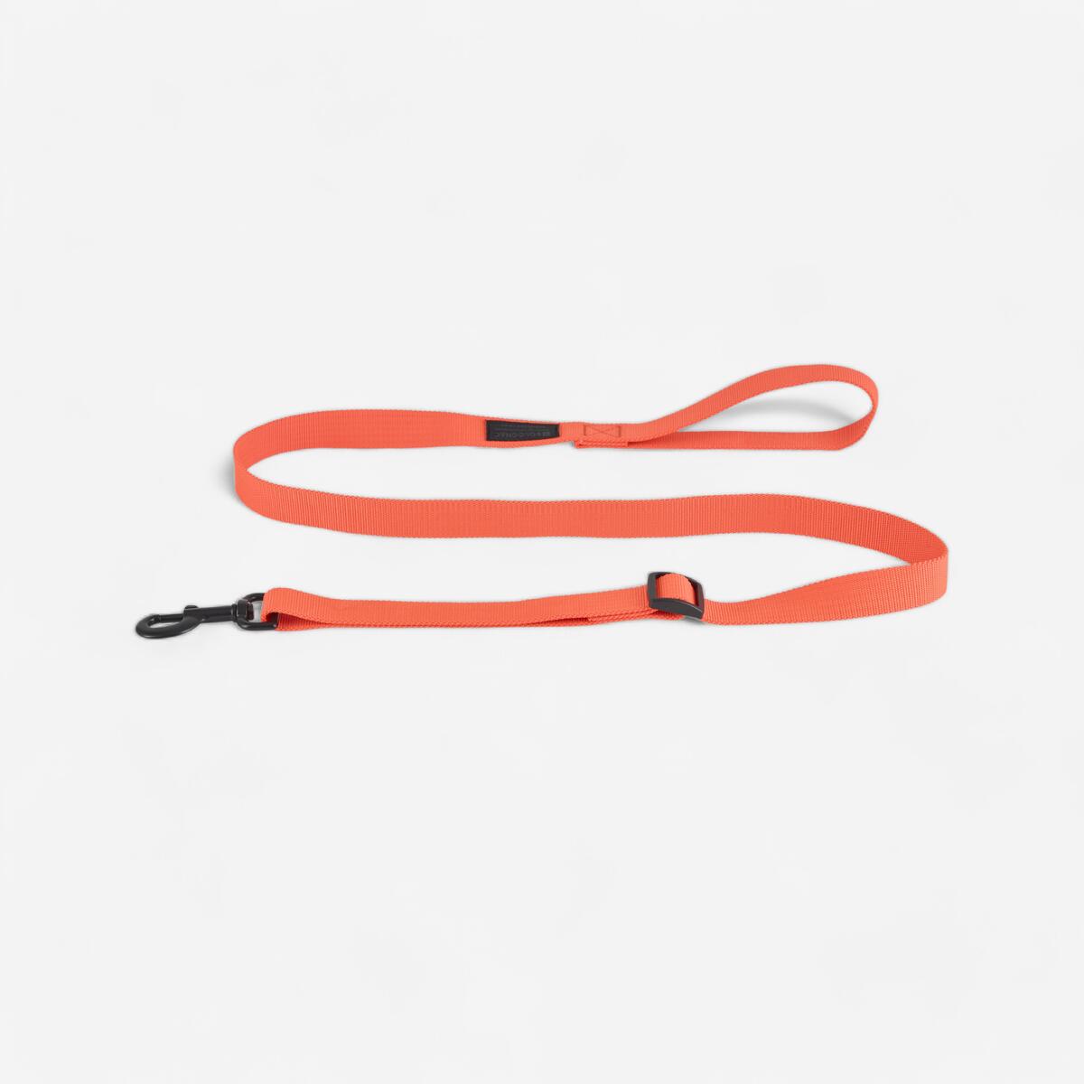 Laisse chien orange 100