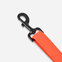 Dog leash 100 Orange