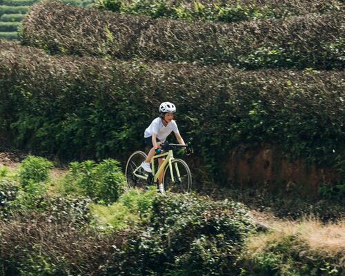 What type of bike should you choose?