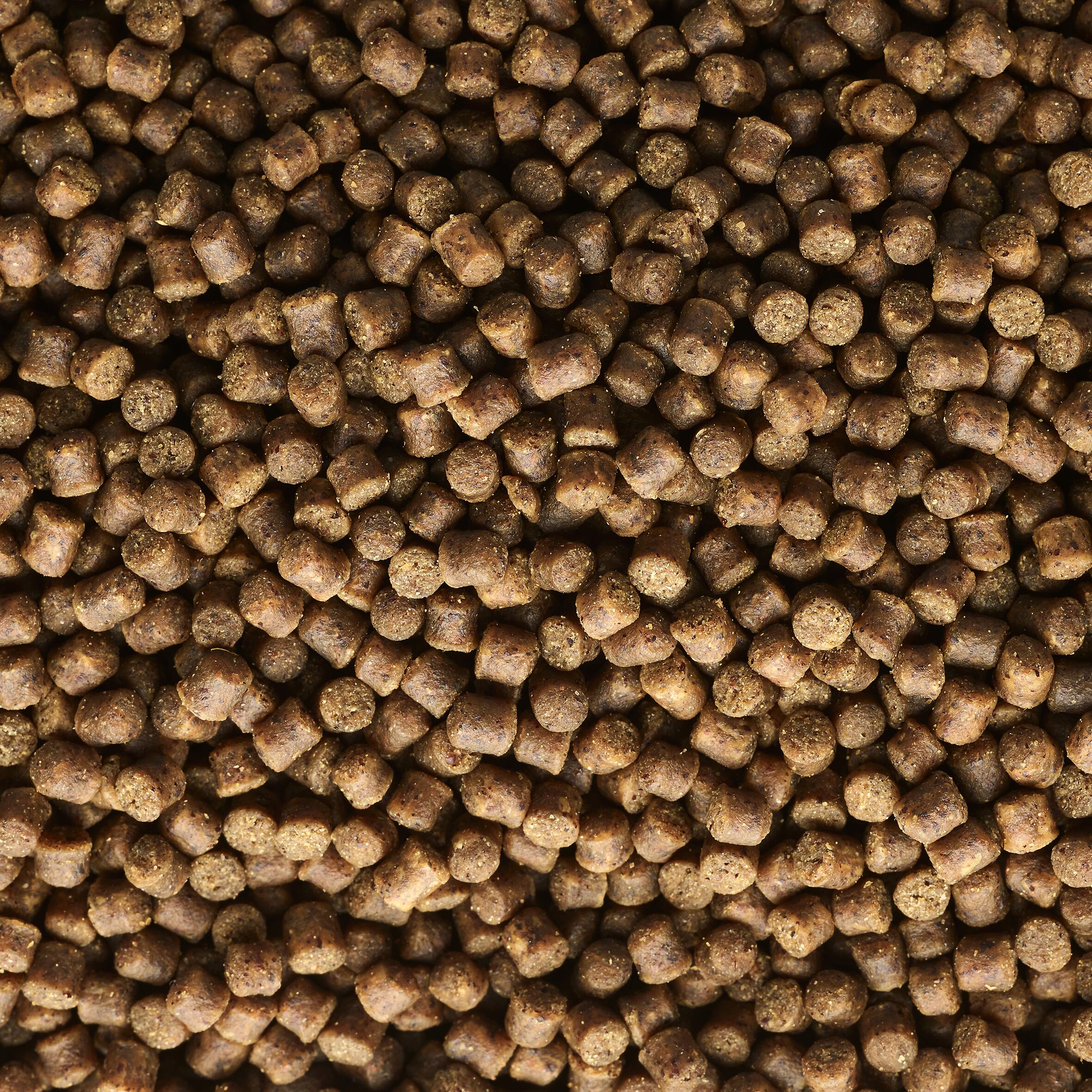 GOOSTER PELLET EXTRUDCARP 3MM 0,7kg 2/6