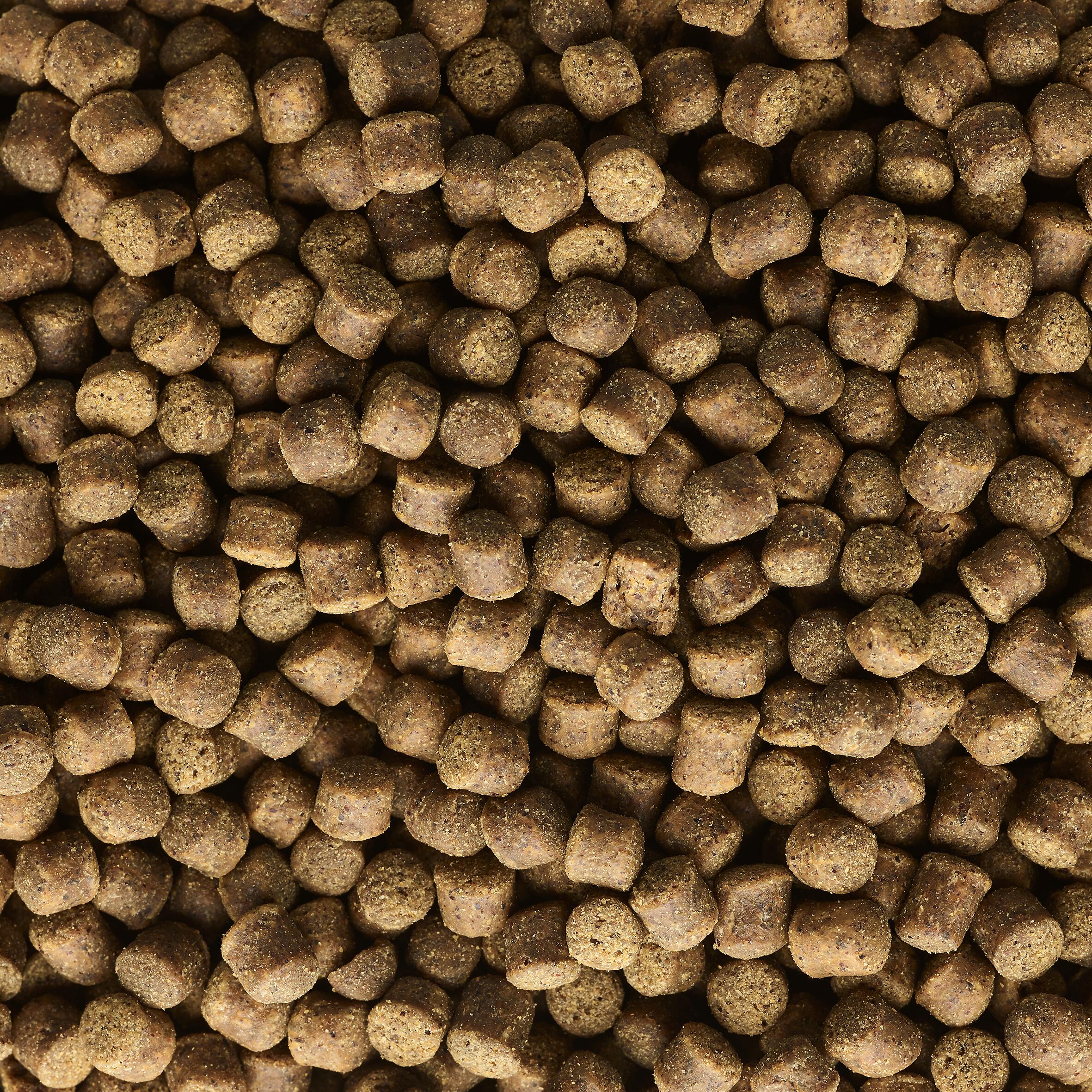 Gooster Pellet Extrudcarp 5 mm 0,7 kg