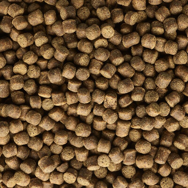200 Fermi Esca Trasparente DURA Per Pellet Boilies Mais Carpa - Foto 3