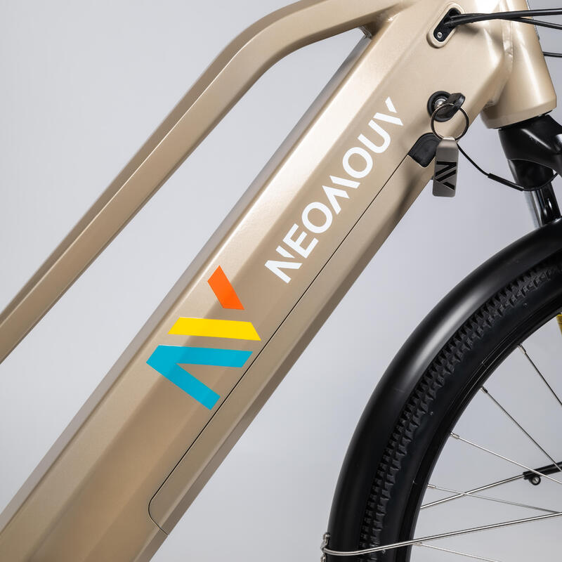 Vélo Tout Chemin Electrique - NEOMOUV RAIPON