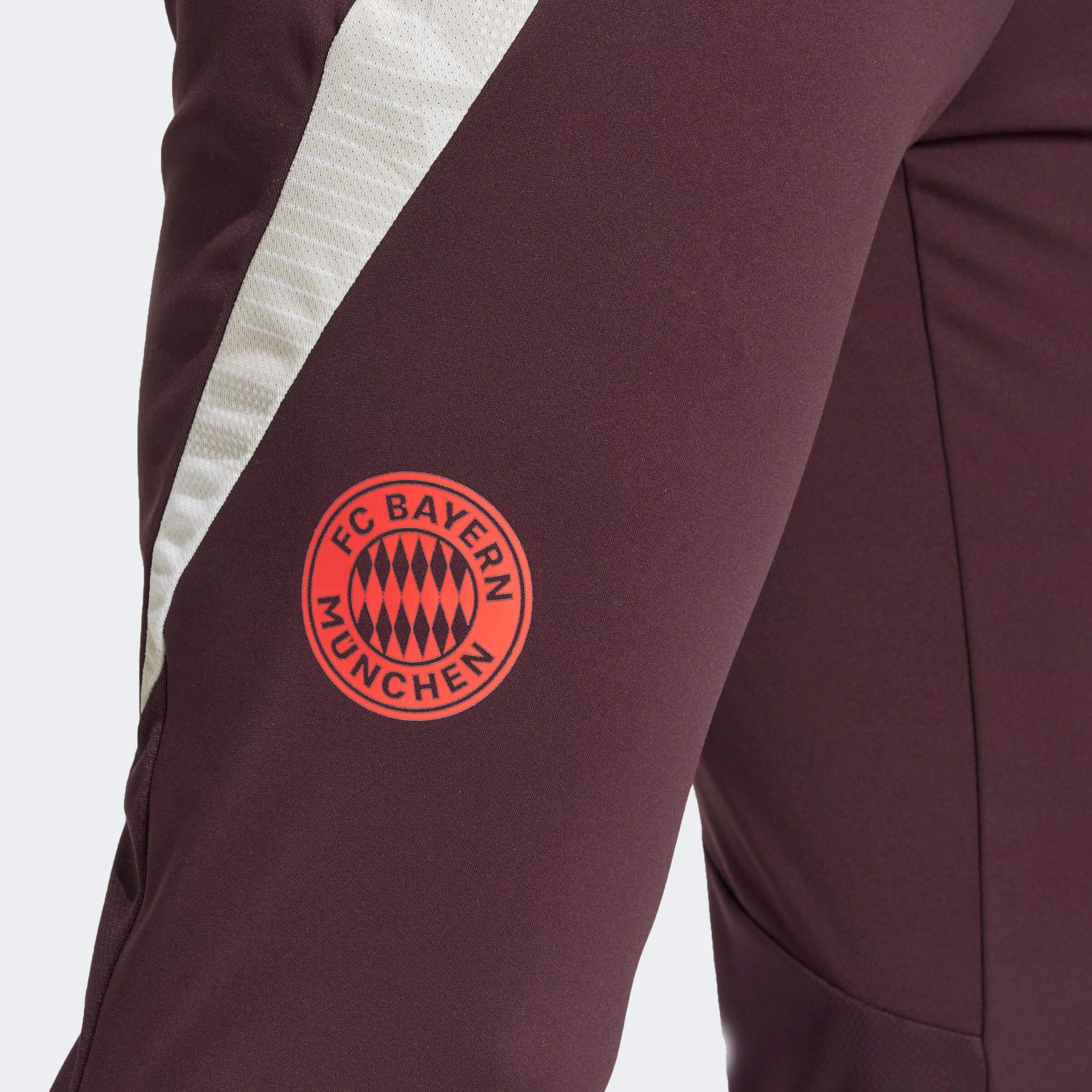 FC Bayern training pants Adult 24/25