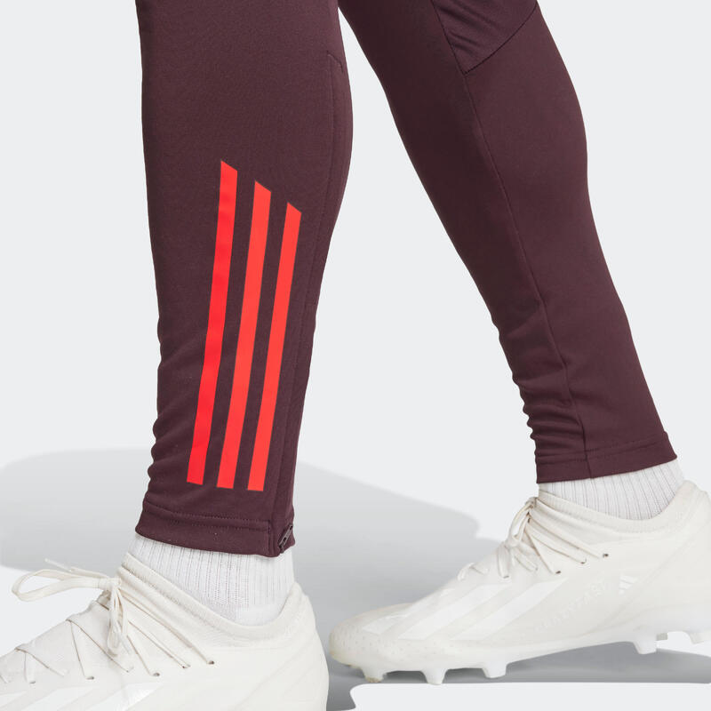 Pantalon d'entraînement FC Bayern Adulte 24/25