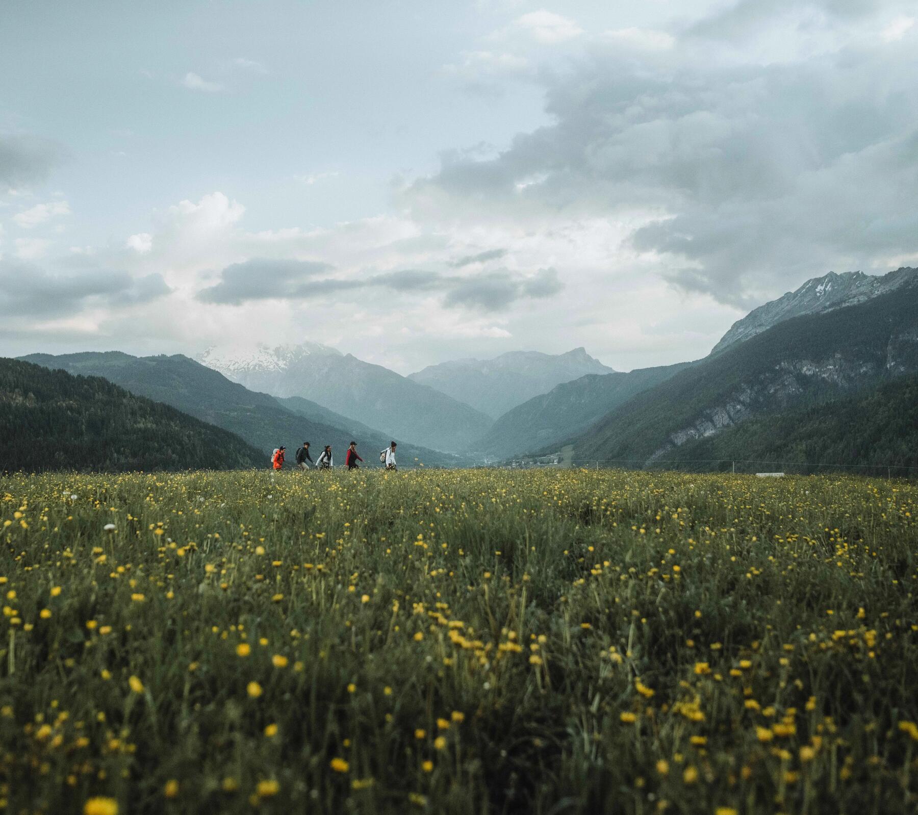 Eine Gruppe von Freunden macht eine Rucksackreise durch die Berge