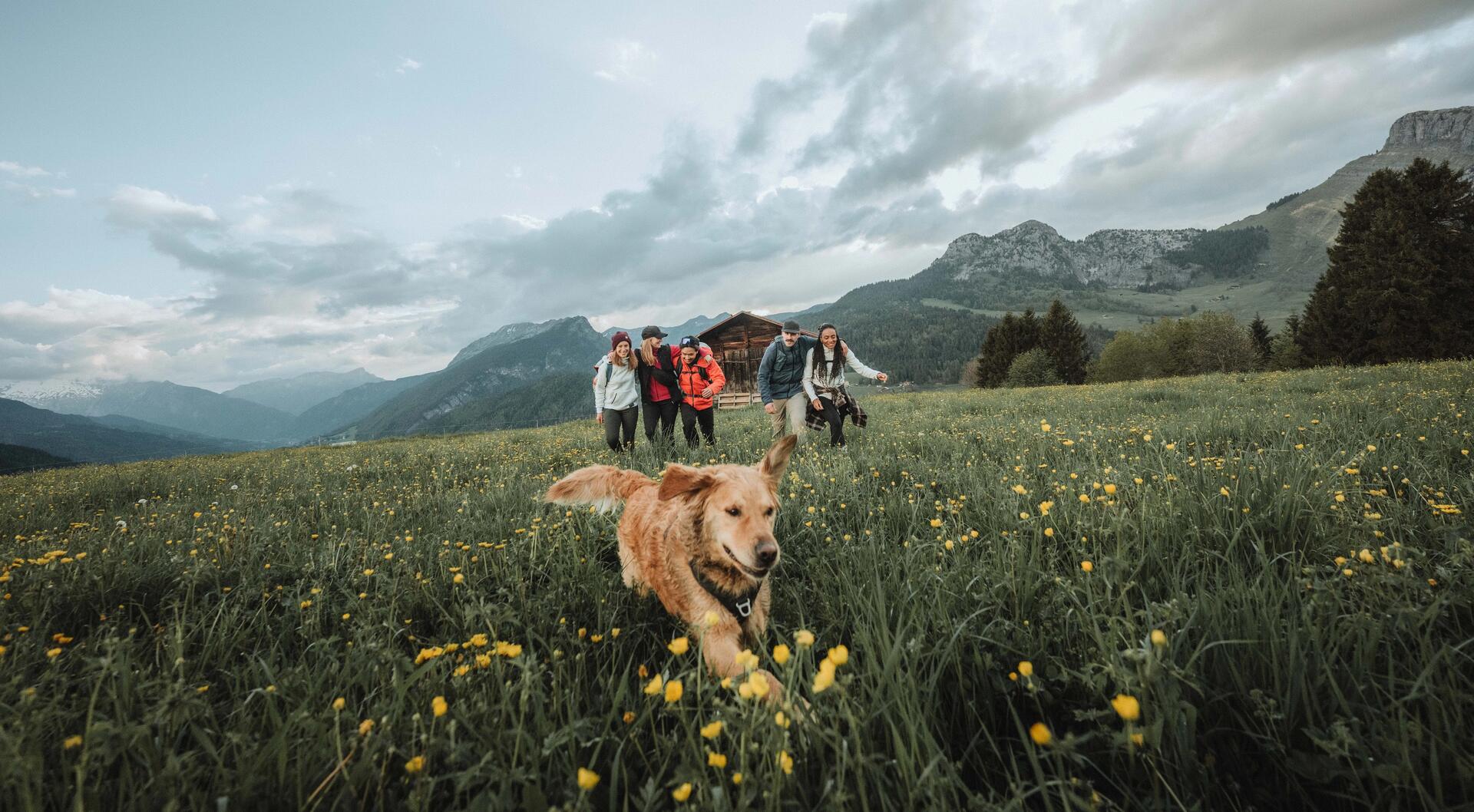 Quechua Hiking and camping equipment by Decathlon